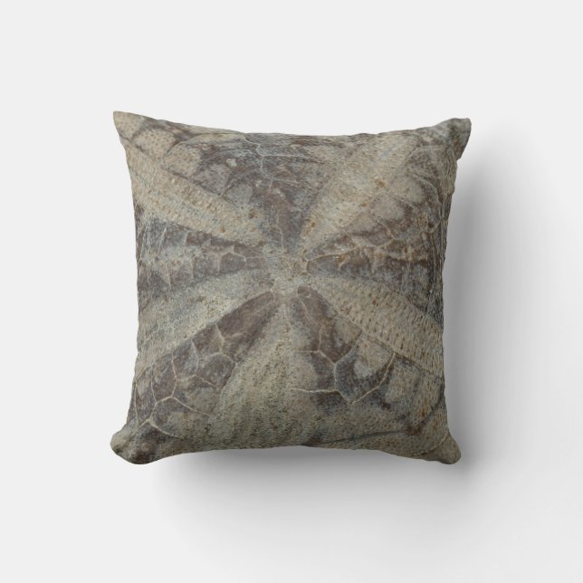 Coussin fossile (Recto)