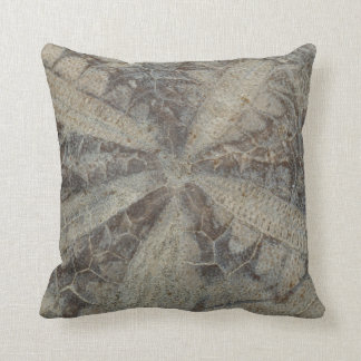 Coussin fossile