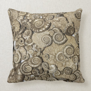 coussin fossile d'ammonite, côte jurassique, Dorse