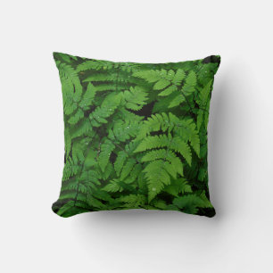 Coussin Fougère bracken avec gouttes de pluie, État de Was