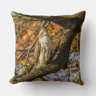 Coussin Foulque et feuillage d'automne