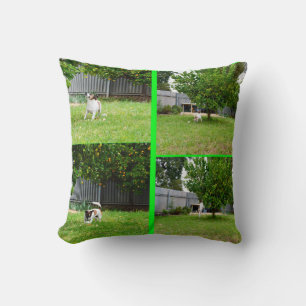 Coussin Fox Terrier Photo Collage, Throw Cushion.