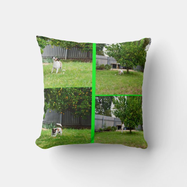 Coussin Fox Terrier Photo Collage, Throw Cushion. (Recto)