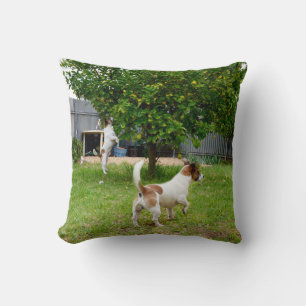 Coussin Fox Terrier sautant dans un arbre,