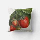 Coussin Fraise vintage (Verso)