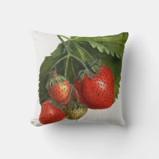 Coussin Fraise vintage (Recto)