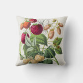 Coussin Fraise vintage (Verso)