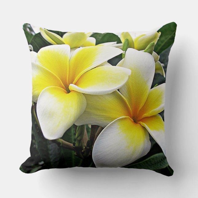 Coussin Frangipani (Recto)