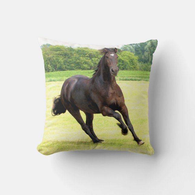 Coussin friesian-12.jpg (Recto)