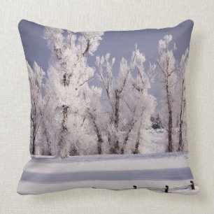 Coussin Frost a couvert les arbres et la barrière, le