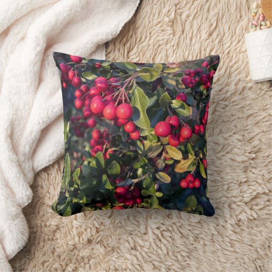 Coussin Fruit d'automne (Couverture)