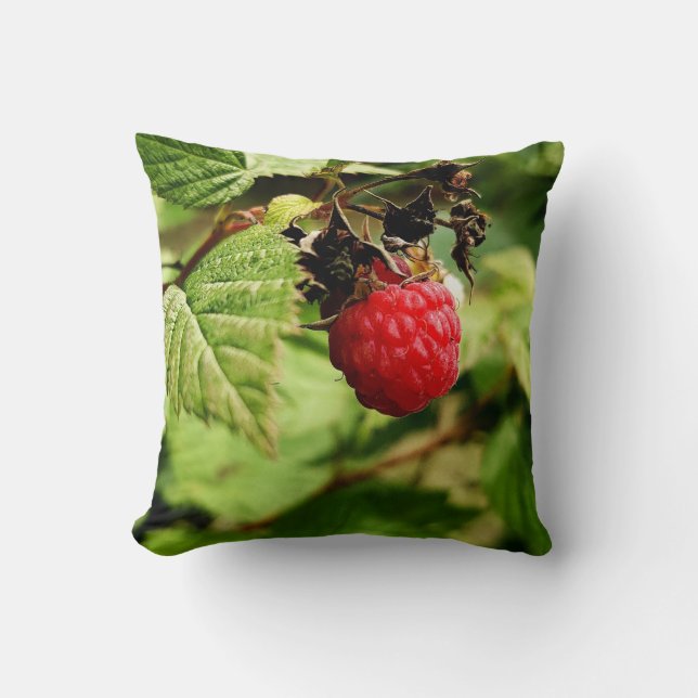 Coussin Fruits Et Légumes Colorés (Recto)