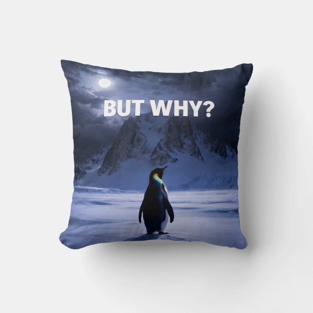 Coussin Funny BUT WHY Penguin Pillow (Recto)