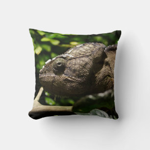 Coussin Furcifer oustaleti