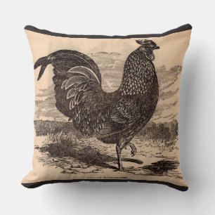 Coussin Galus Sonneratii du 19e siècle