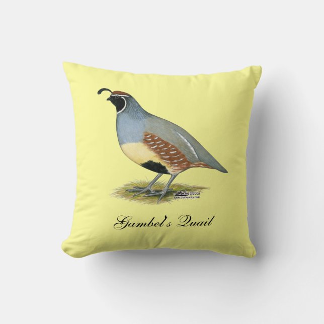 Coussin Gambel's Desert Quail (Recto)