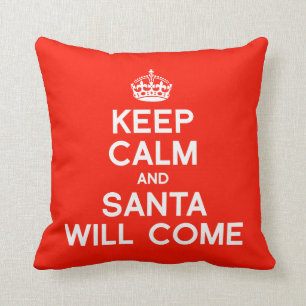 COUSSIN GARDEZ LE CALME ET PÈRE NOËL VIENDRA - .PNG