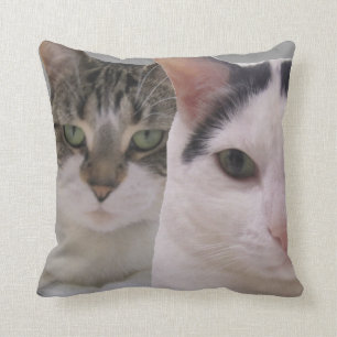 Coussin Gardez vos amis proches et vos ennemis proches Cha