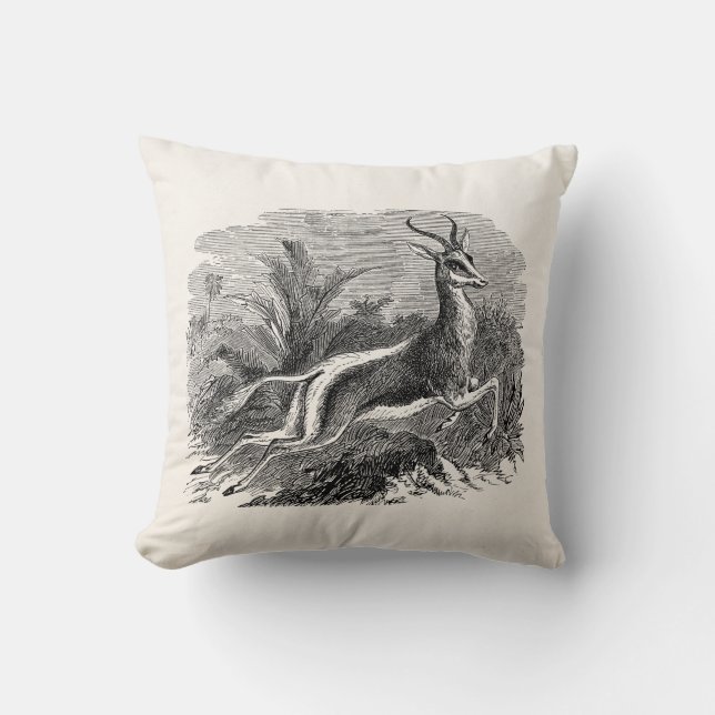 Coussin Gazelle vintage d'antilope de springbok (Recto)