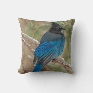 Coussin Geai de Steller dans un arbre