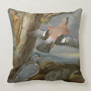 Coussin Geai, pivert vert, pigeons et Redstart, c.165