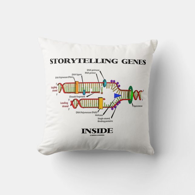 Coussin Gènes de narration dans la réplication de l'ADN (Recto)