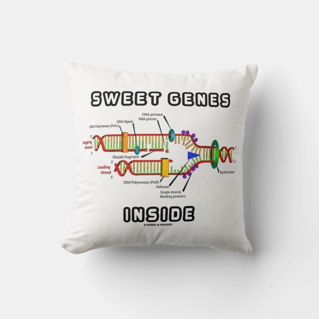 Coussin Gènes doux dans l'Humour de réplication de l'ADN (Recto)