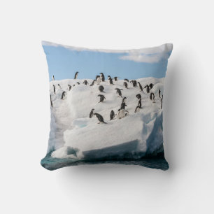 Coussin Gentoo Penguin Antarctica Iceberg Playtime