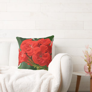Coussin Géranium rouge