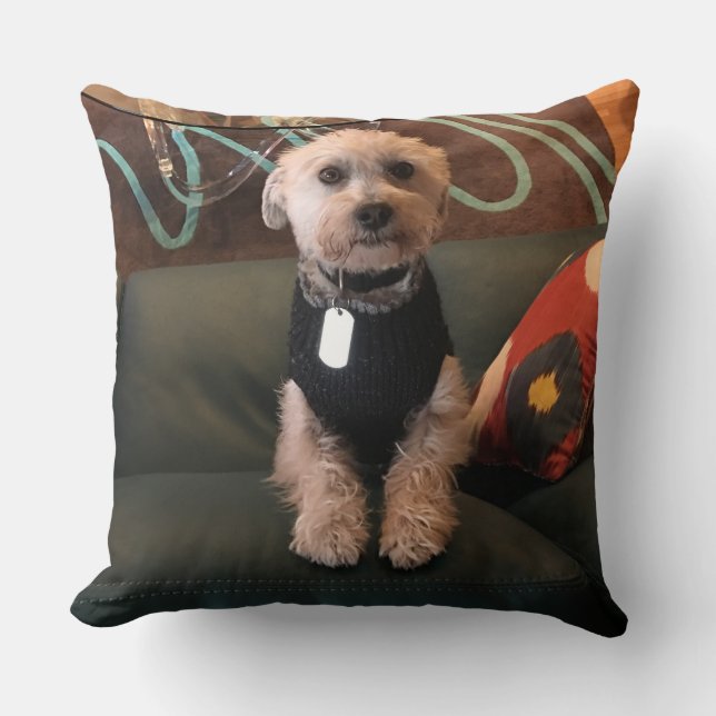 Coussin Gindick - Turley (Recto)