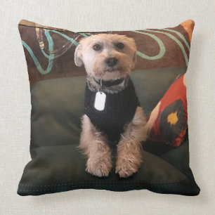 Coussin Gindick - Turley