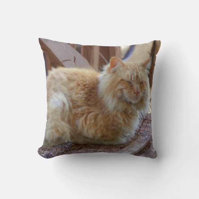 Coussin Ginger George (Recto)