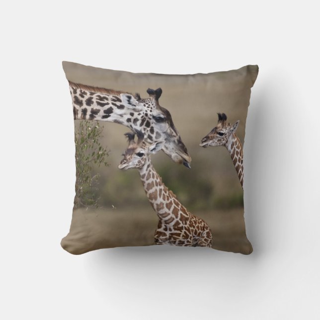 Coussin Girafe maasaï (Giraffe Tippelskirchi) (Recto)