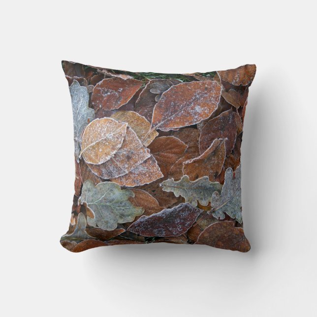 Coussin givré de feuille (Recto)