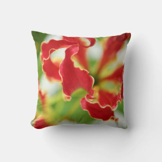 Coussin Gloriosa