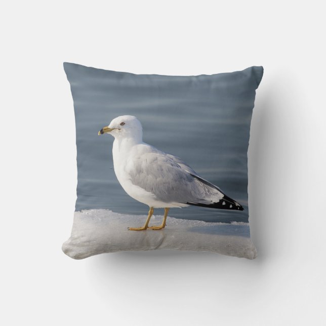 Coussin Goéland sur glace (Recto)