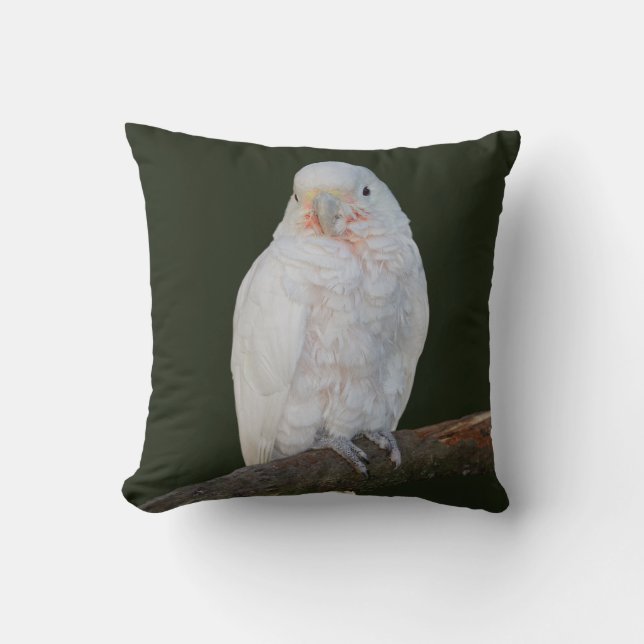 Coussin Goffy (Recto)