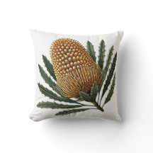 Golden Banksia Botanical Australian Native Flower