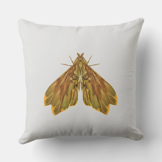 Coussin Golden Forest Moth – Surreal Nature Form (Verso)