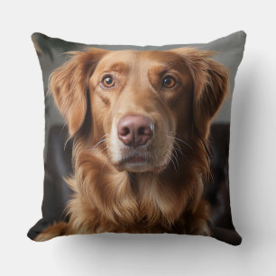 Coussin Golden Retriever