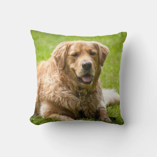 Coussin Golden Retriever Chien (Recto)