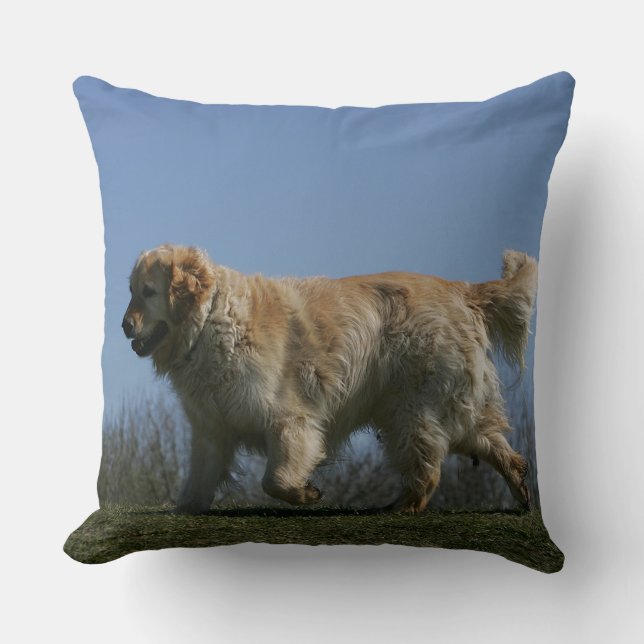 Coussin Golden retriever courant 3 (Recto)