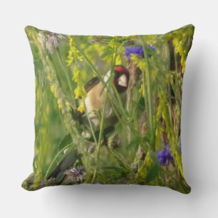 Coussin Goldfinch dans Fleurs sauvages Champ Jeter Oreille