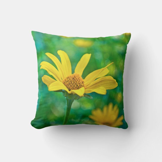 Coussin Goldie (Recto)