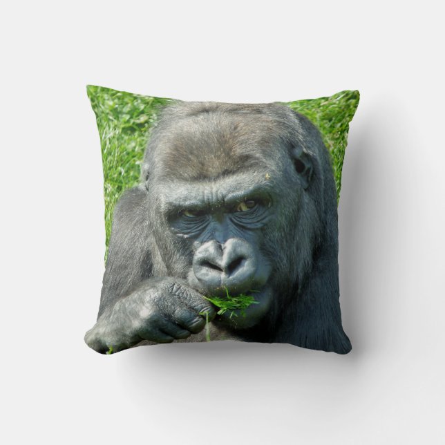 COUSSIN GORILLAS (Recto)