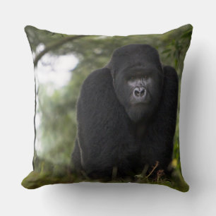 Coussin Gorille des montagnes et dos argenté
