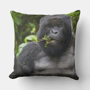 Coussin Gorille des montagnes et dos argenté