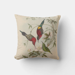 Coussin Goulpourah Sun-Bird par John Gould