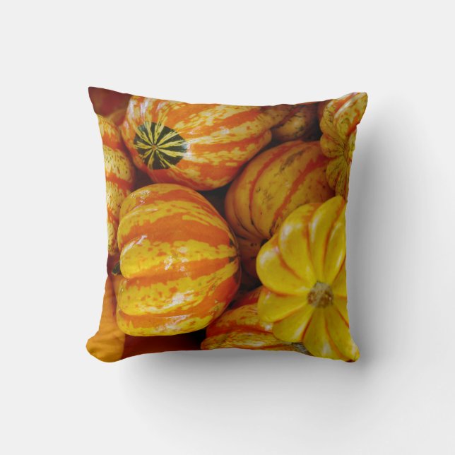 Coussin Gourds Citrouille Automne Automne Rustique Pays (Recto)