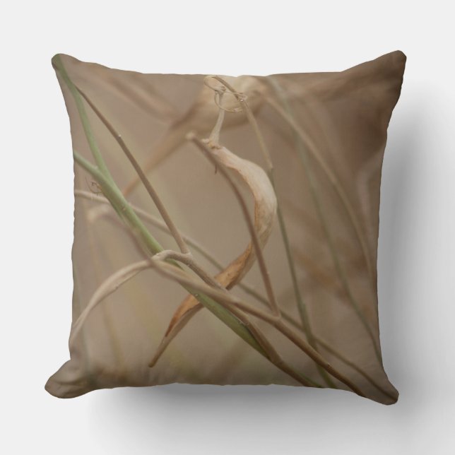 Coussin Gousses de laiteron du désert (Recto)